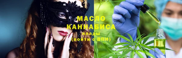 гашик Краснослободск