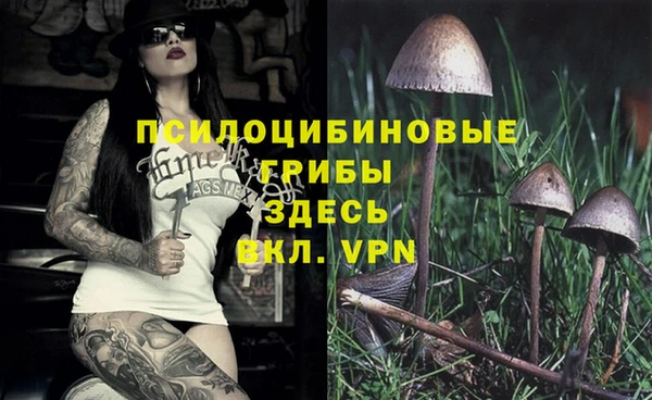 прущая мука Лагань