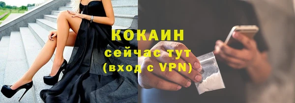 спайс Кулебаки
