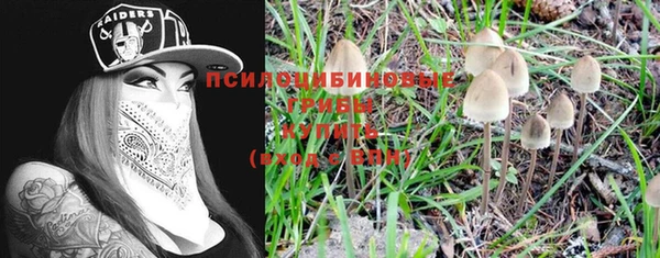 spice Лабытнанги