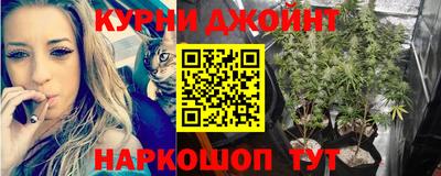 кокс Будённовск