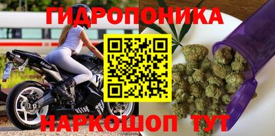 гашик Апшеронск
