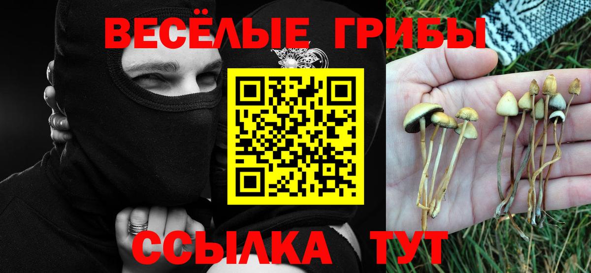 Галлюциногенные грибы MAGIC MUSHROOMS Кулебаки