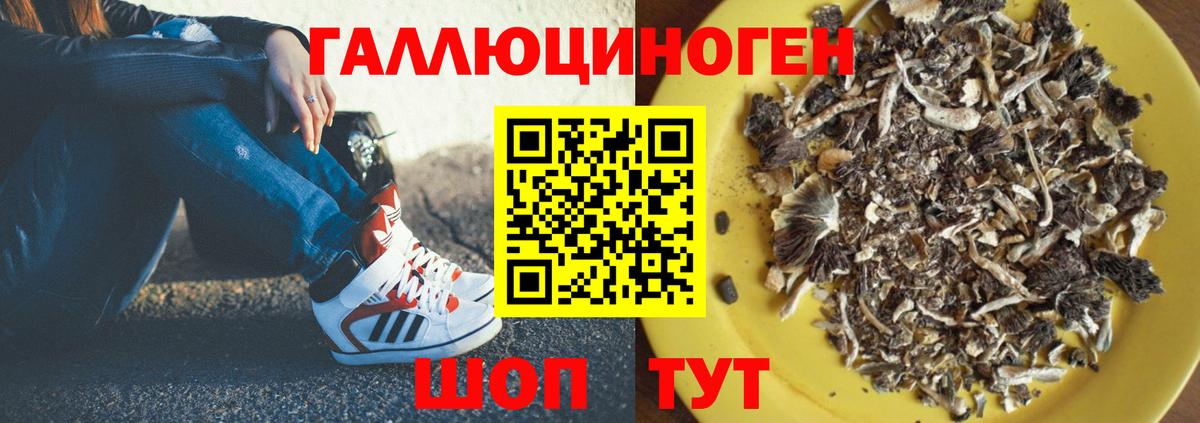 Галлюциногенные грибы Cubensis  Кулебаки 