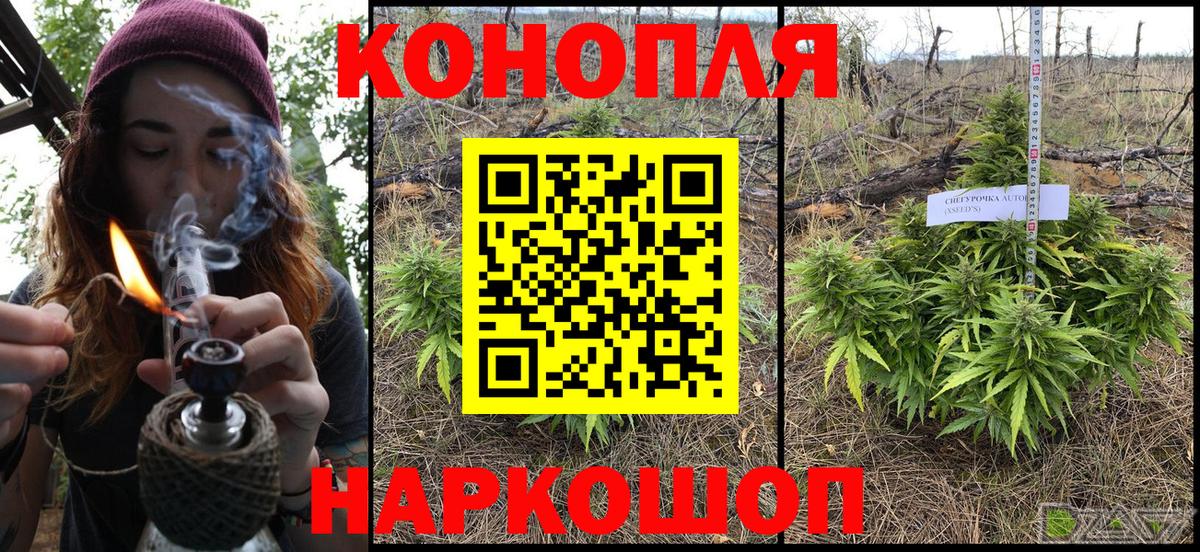 Бошки Шишки гибрид  Марихуана планчик  Кулебаки  Марихуана конопля 